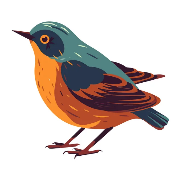 Malý Pták Roztomilé Peří Ikona Izolované — Stockový vektor
