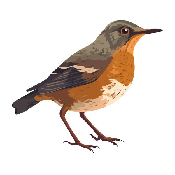 Desenho Animado Pequeno Pássaro Penas Babados Ícone Isolado — Vetor de Stock