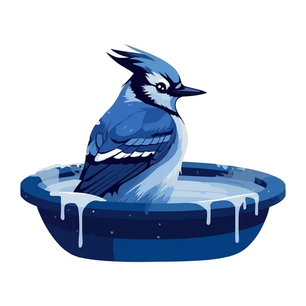 Niedliche Blaue Eichelhäher Wasser Isoliert Design Ikone — Stockvektor