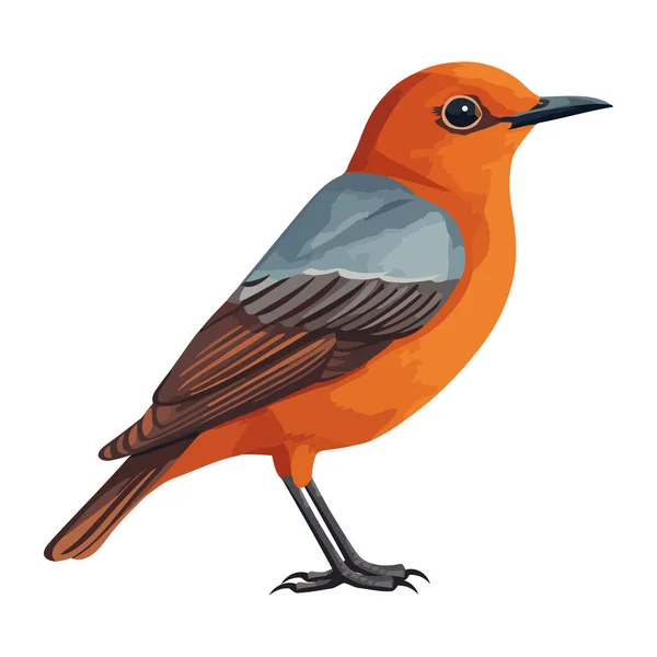 Niedliches Vogel Tier Gelb Gefiedertes Symbol Isoliert — Stockvektor