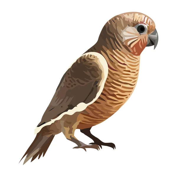 Милий Мультяшний Птах Значок Ізольований Дизайн — стоковий вектор
