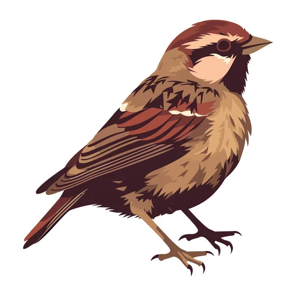 Маленький Птах Гороб Мила Іконка Тварини Ізольована — стоковий вектор