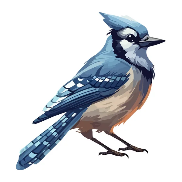 Mignon Bleu Geai Oiseau Animal Icône Isolé — Image vectorielle
