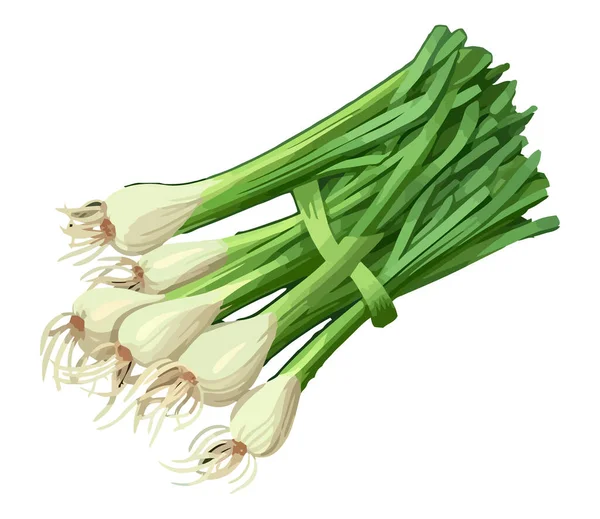 Verduras Frescas Cebolla Primaveral Comida Saludable Icono Aislado — Vector de stock