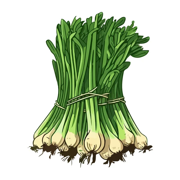 鲜季洋葱蔬菜捆图标分离 — 图库矢量图片