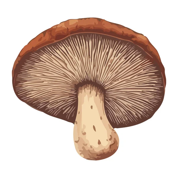 Autunno Foresta Raccolta Gourmet Funghi Icona Isolato — Vettoriale Stock