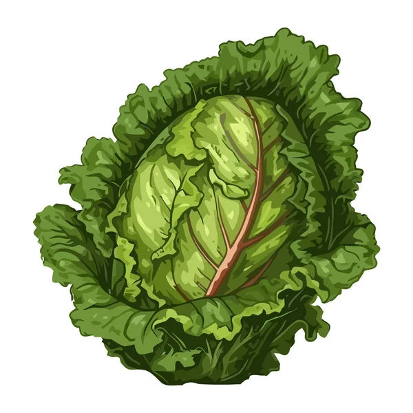 Свежий Капустный Салат Икона Здоровой Вегетарианской Еды — стоковый вектор
