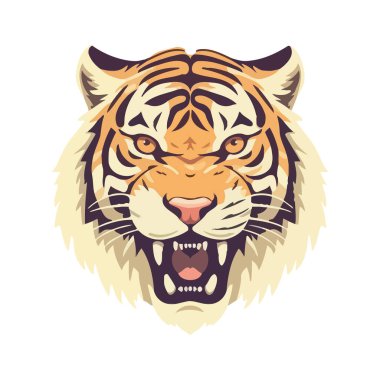 Kükreyen Bengal kaplanı, gücün ve saldırganlığın sembolü izole edilmiş.