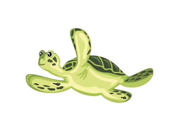 Niedliche Schildkröte Symbol Isoliert Design Weißer Hintergrund — Stockvektor