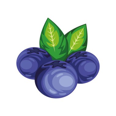 yaban mersini taze simge izole edilmiş.