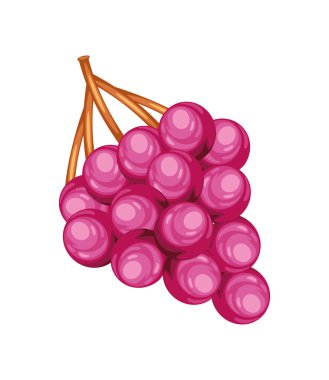 Üzüm taze meyve ikonu izole
