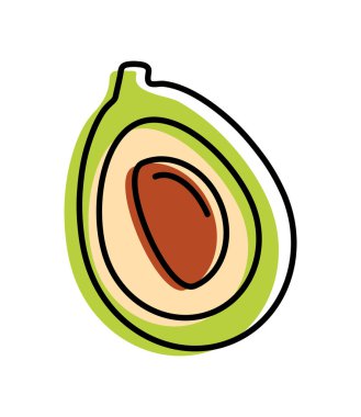 avokado taze meyve ikonu izole edildi