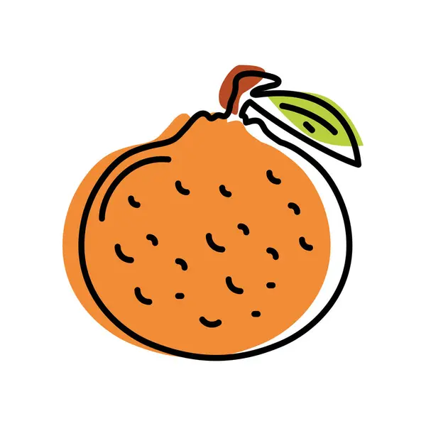 Grapefruit Fresh Icon Isolated Illustration — Stock Vector