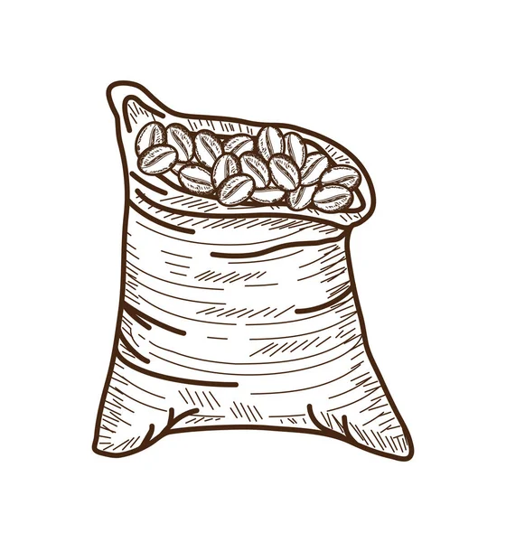 サックアイコンでコーヒー豆を分離したイラスト — ストックベクタ