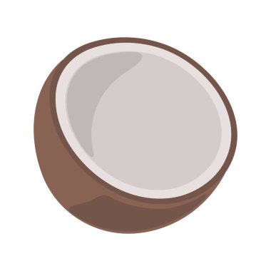 Hindistan cevizi tropikal meyve ikonu vektörü