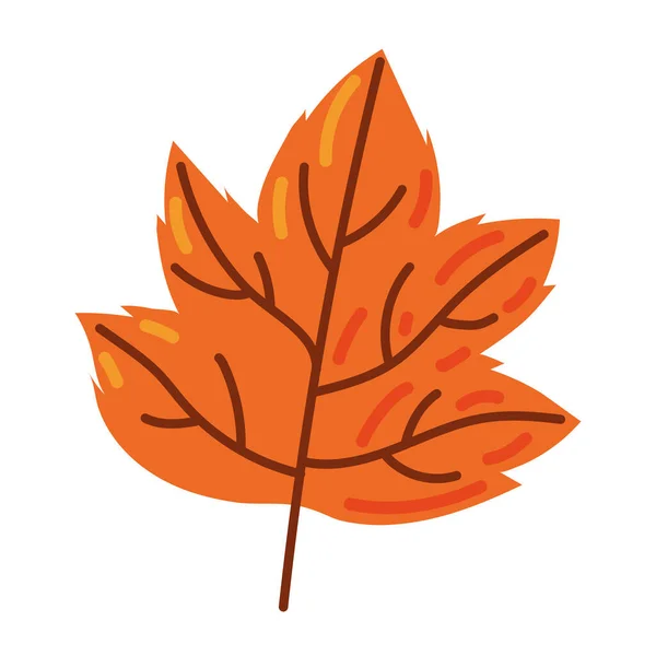 Herbst Blatt Symbol Vektor Isoliert — Stockvektor