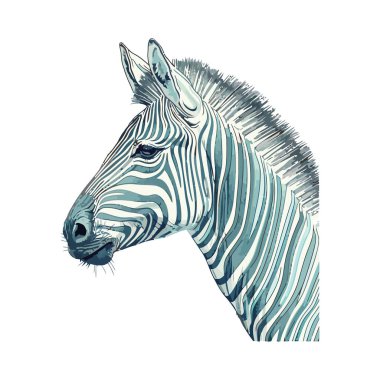 Zebra hayvan simgesi izole edilmiş
