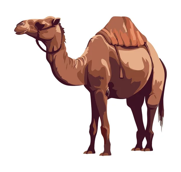 Kamel Tier Ikone Isolierte Illustration — Stockvektor
