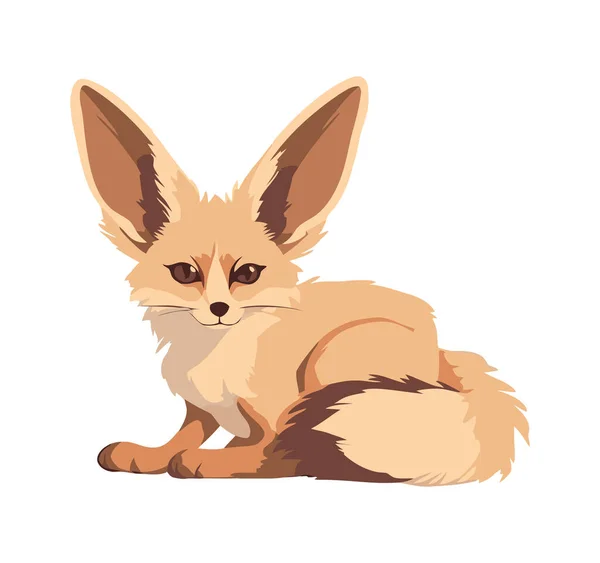 stock vector fennec fox wildlife icon isolated illustration