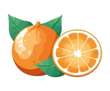 Taze narenciye sağlıklı yaz ferahlığını sembolize eder.