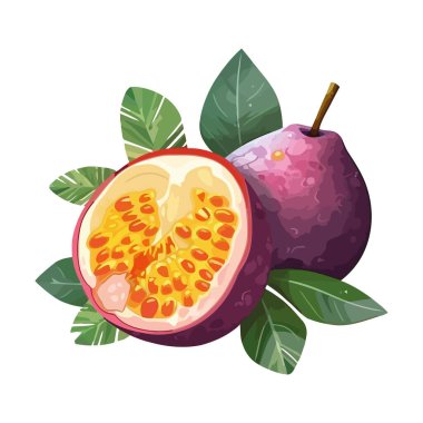 Sulu çarkıfelek meyvesi, izole yazın sembolü.