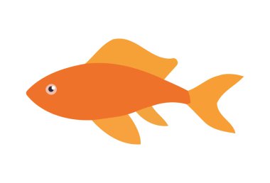 Tropikal deniz ikonunda yüzen tatlı Japon balıkları izole edilmiş.