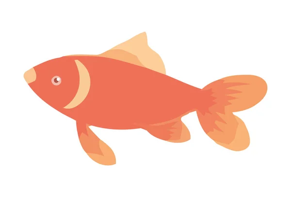 Изолированная Золотая Рыбка Плавающая Тропическом Подводном Рифе — стоковый вектор