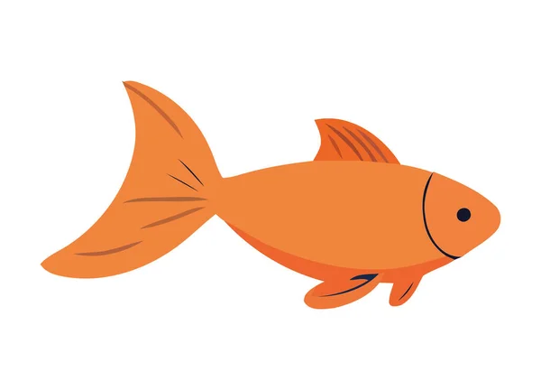 Изолированная Золотая Рыбка Плавающая Тропическом Подводном Раю — стоковый вектор