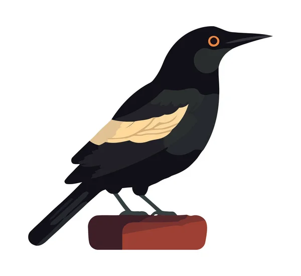 隔離された黒い羽を持つかわいい鳥 — ストックベクタ
