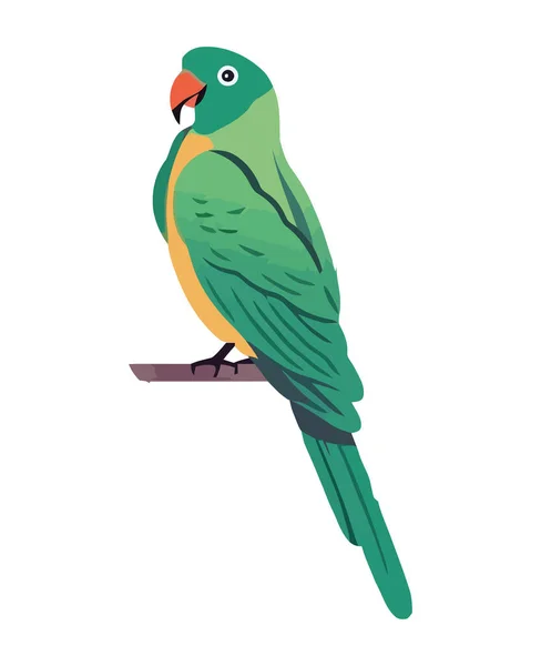 Färgglada Macaw Uppflugen Gren Talande Tecken Ikon Isolerad — Stock vektor