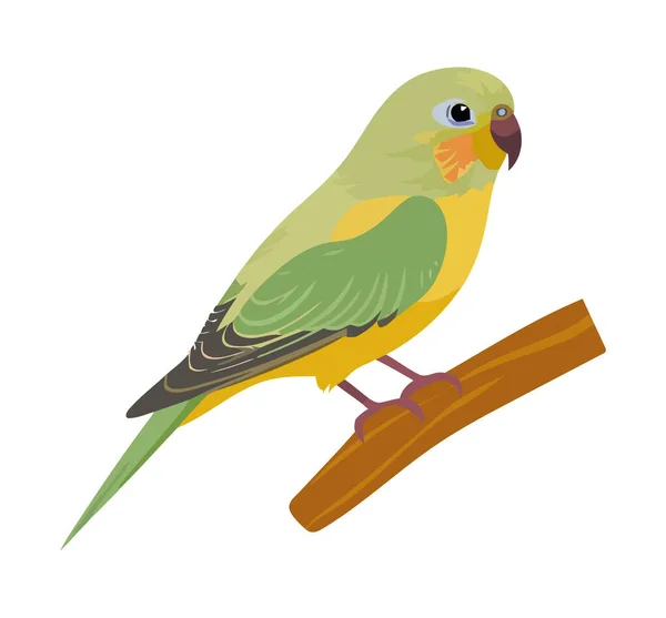 Färgglada Macaw Sitter Gren Naturen Ikon Isolerad — Stock vektor