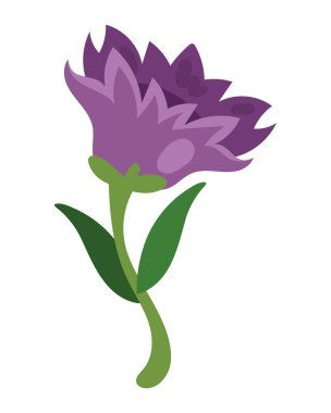 Çiçek doğal yaprak simgesi izole edilmiş