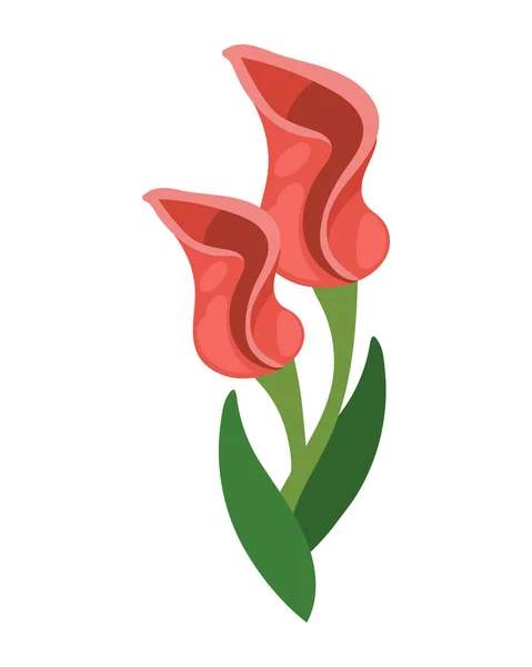 Flowers Petals Icon Isolated Illustration — Stock Vector