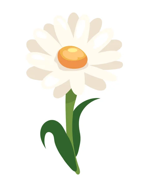 Květinové Sedmikrásky Ikona Izolované Ilustrace — Stockový vektor