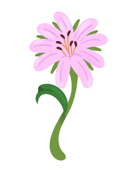 Růžová Ikona Květiny Izolované Ilustrace — Stockový vektor