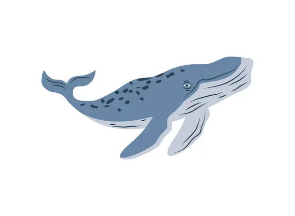 Humpback Sealife Icon Isolated Vector — Stock Vector