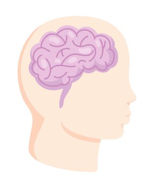 profil beyni insan kafa çizimi izole edildi