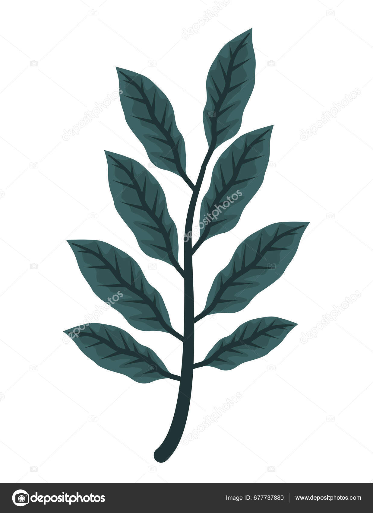 Exotic Leaf Plant Fronds Illustration Isolated Stock Vector by ©djv Exotic Leaf Plant Fronds Illustration Isolated Stock Vector by ©djv