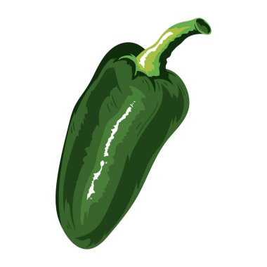 jalapeno baharat izole edilmiş simge vektörü