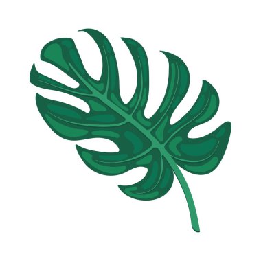 Egzotik yaprak bitkisi canavarı çizimi izole edildi