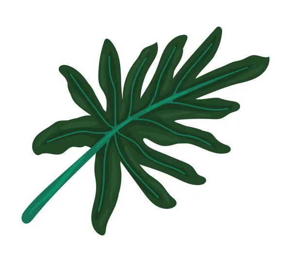 Exotiska Blad Växt Tropiska Illustration Isolerad — Stock vektor