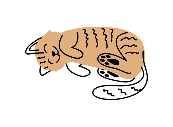 Gato Mascota Carácter Aislado Ilustración — Vector de stock
