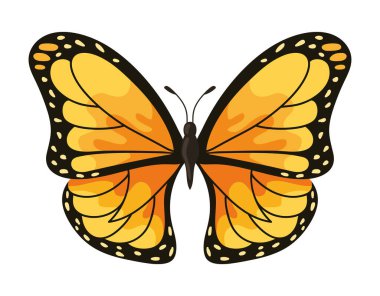 Kelebek monarka çizimi izole edilmiş vektör