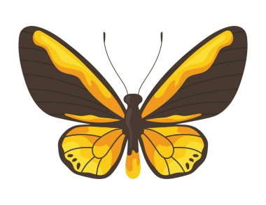 Kelebek sevimli böcek çizimi izole edildi