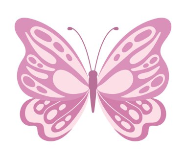 butterfly natural isolated illustration vector clipart