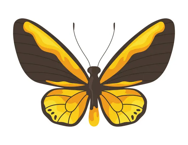 Motýl Roztomilý Hmyz Ilustrace Izolované — Stockový vektor