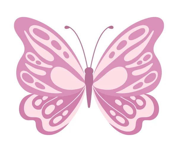Mariposa Vector Ilustración Natural Aislado — Vector de stock