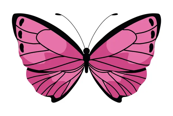 Mariposa Naturaleza Ilustración Diseño Aislado — Archivo Imágenes Vectoriales