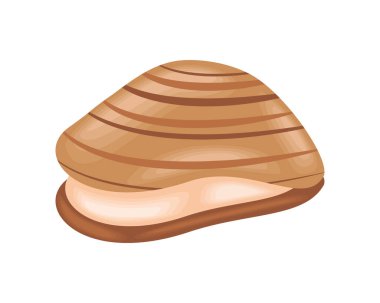 İstiridye deniz yaşamı izole edilmiş.