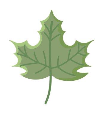 Sonbahar mevsimi yaprak tasarımı çizimi izole edilmiş